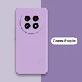 Grass Purple