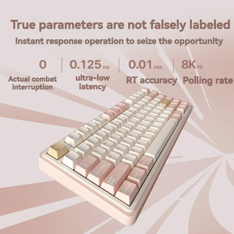 Varmilo 75HE teclado con interruptor magnético personalizado con cable modo único RGB junta intercambiable en caliente Teclado mecánico ergonómico para juegos