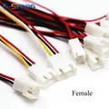Female 10pcs