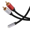 3.5 F to 2RCA M