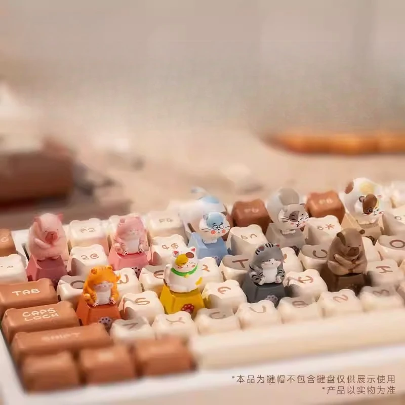 Teclas 3D de la serie Zoo, caja ciega personalizada, yemas de los dedos, lindas mascotas, serie de gatos, teclas femeninas personalizadas - imagen 3