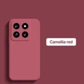 Camellia red