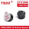 10pcs TMB12065-3V