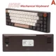 IK65 brown A