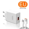 EU Plug and 6A Cable