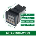 REX-C100-M DN