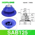 SAB125