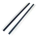Male 10pcs