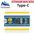 STM32F103C6T6 Type-C