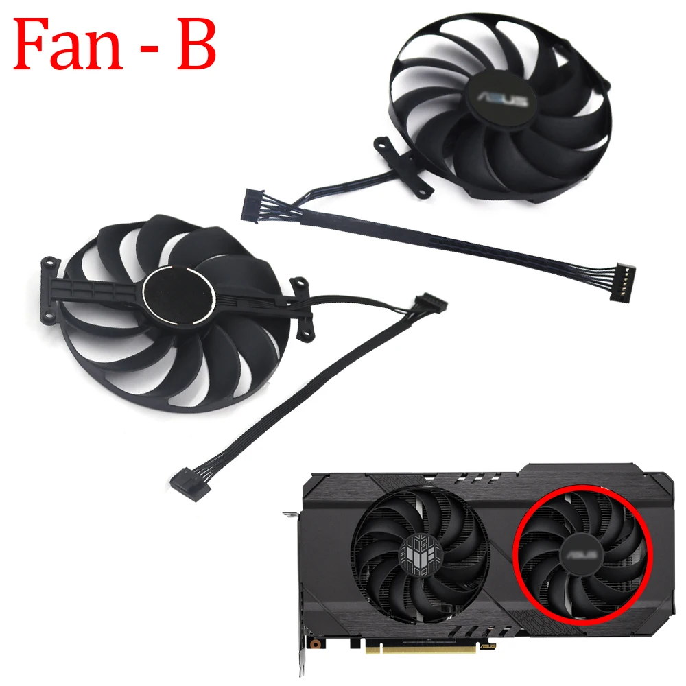 Fan - B