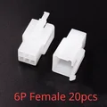 6P Female 20pcs