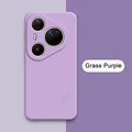 Grass Purple