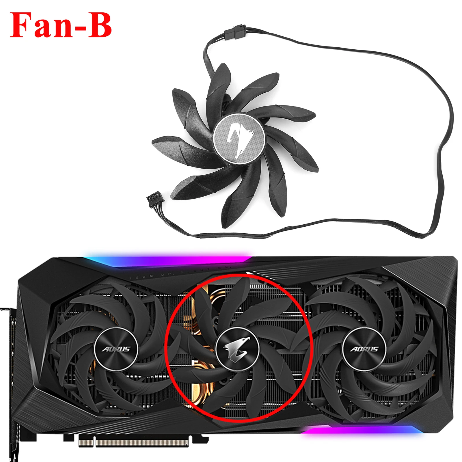 Fan - B
