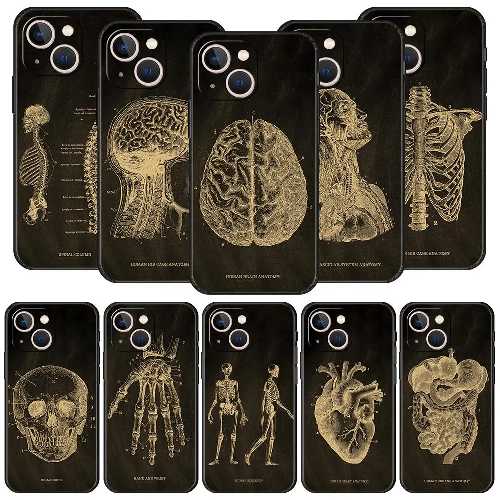 Funda de teléfono con forma de corazón y cuerpo de pizarra con esqueleto de anatomía para iPhone 13, 15, 14, 12, 11 Pro MAX XR X SE XS 7 8 Plus, funda protectora suave