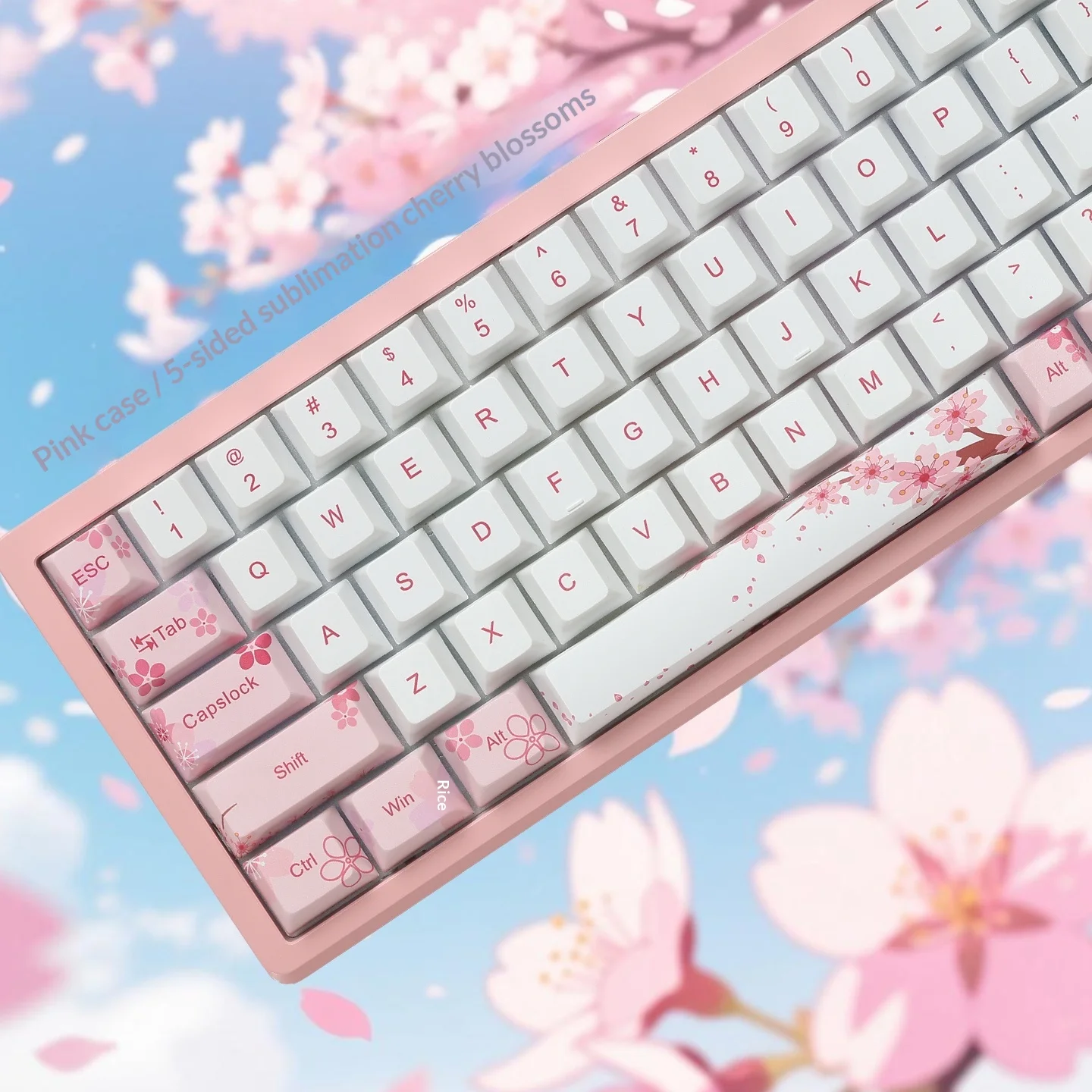 Nuevo teclado Everglide AE68Pro, eje magnético, posición Original de doble lámpara RT0.001MM/ADC, conexión directa, teclados para PC Esports - imagen 3