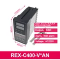 REX-C400-V AN
