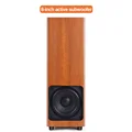 8 inch Active Audio