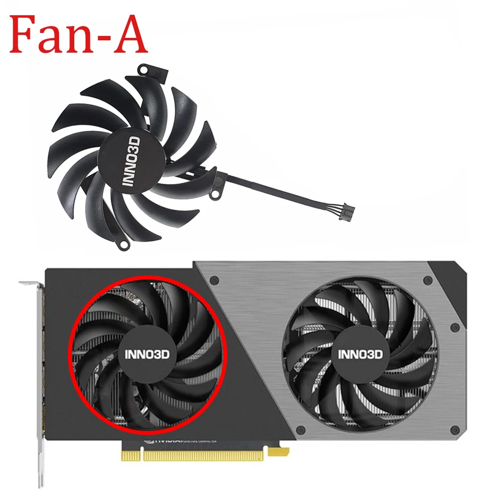 Fan - A