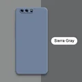 Sierra Gray
