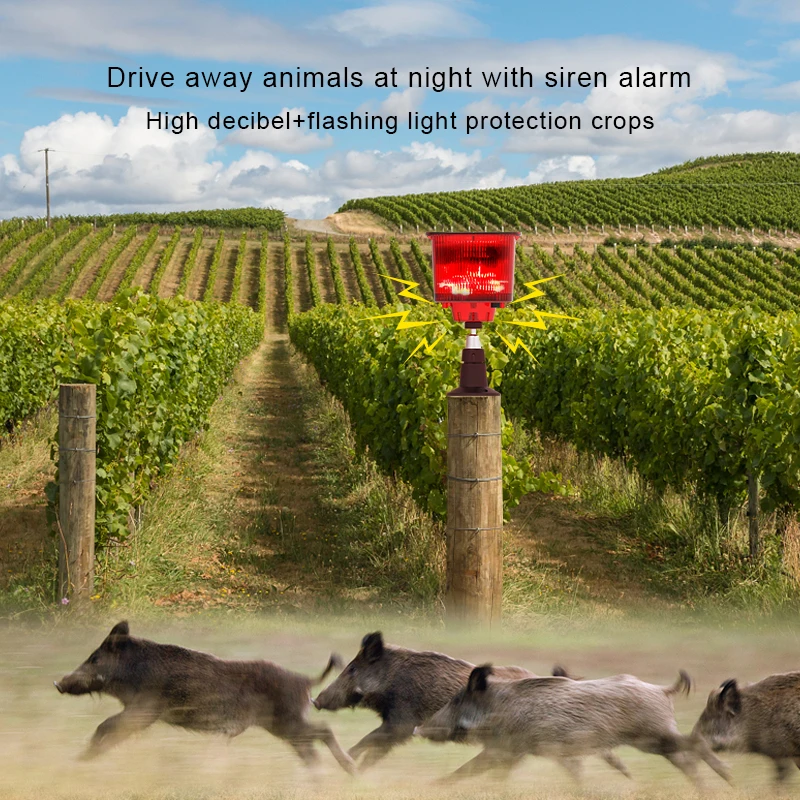 Repelente Solar de animales, repelente ultrasónico de animales, repelente para exteriores, disuasorio para gatos con Sensor de movimiento y LED parpadeantes - imagen 5