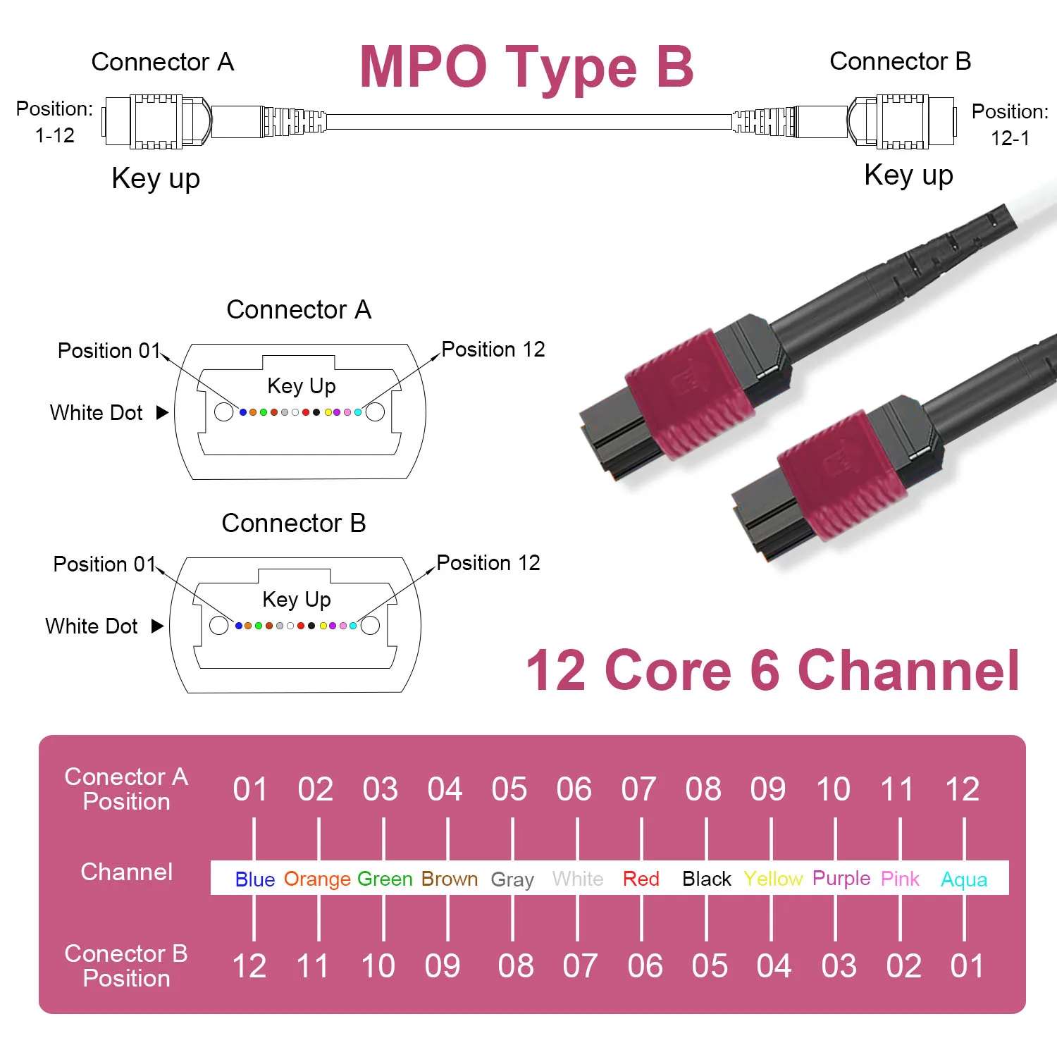Cable de conexión de fibra óptica OM4 MPO, 12 núcleos, 6 canales, tipo B, puente multimodo, hembra a hembra, PC LSZH de 3,0mm - imagen 3