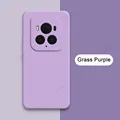 Grass Purple