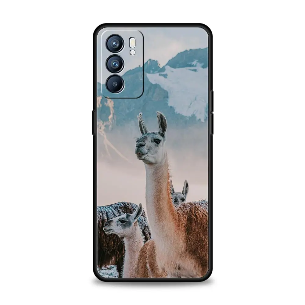 Funda de teléfono Kawaii Alpaca lovely para Oppo Reno8 Reno7 Reno6 Pro A54 5G Find X6 X5 A53 A52 A9 A15 A95 A17 A16 A76 A57 A31 - imagen 3