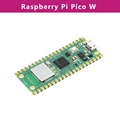 Raspberry Pi Pico W