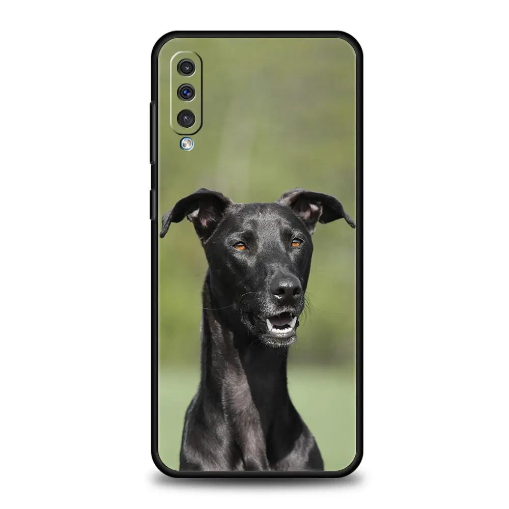 Funda de teléfono Galgo Greyhound Dog para Samsung A56 A36 A26 A54 A52 A24 A14 A50 A72 A70 A40 A06 A12 A22 A34 A42 A32 A04s A16 5G - imagen 4