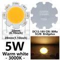 5W 15-18V Warm