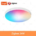 ZigBee 24W