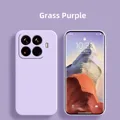 Grass Purple
