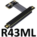R43ML