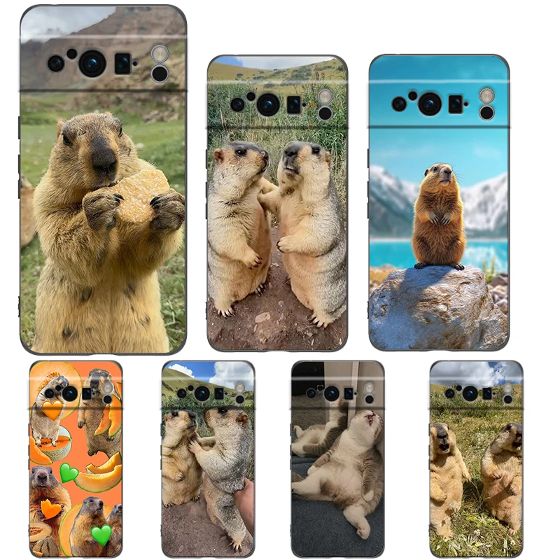 Funda de teléfono marmot para Google Pixel 9 8 7 6 Pro XL 8A 6A 7A 5G suave a prueba de golpes TPU cubierta negra Fundas