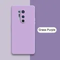 Grass Purple