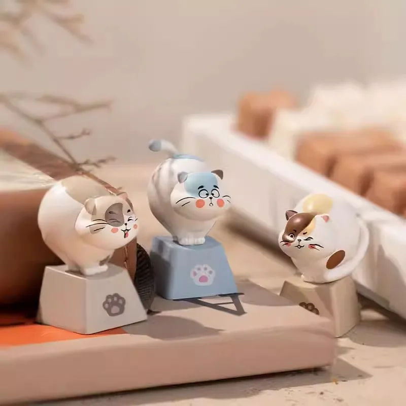 Teclas 3D de la serie Zoo, caja ciega personalizada, yemas de los dedos, lindas mascotas, serie de gatos, teclas femeninas personalizadas