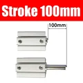 Stroke 100mm