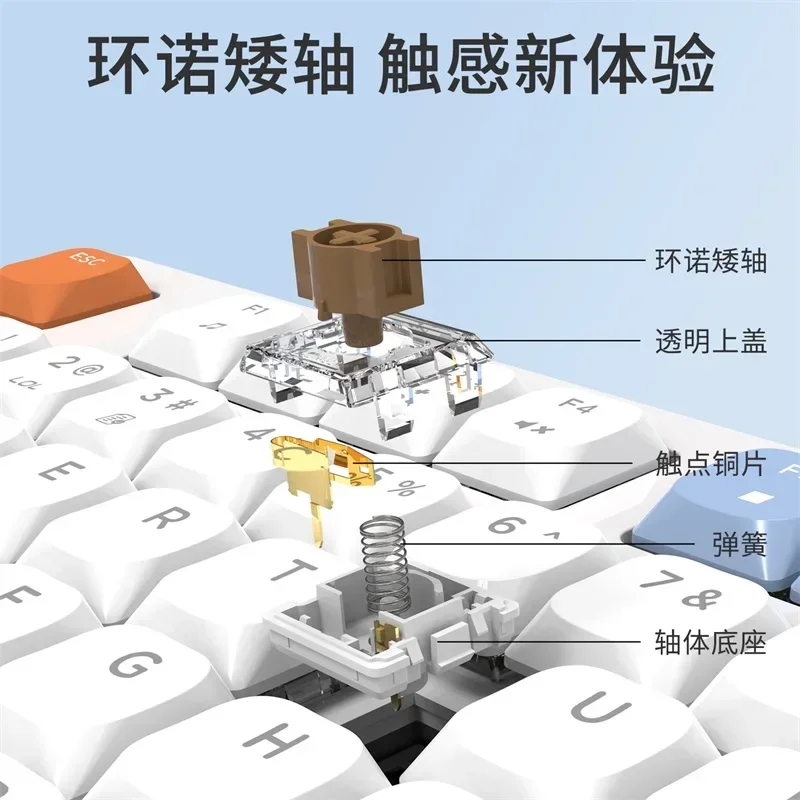 Teclado mecánico Ajazz AKP815 con pantalla LCD de 4,95 pulgadas, teclado con cable retroiluminado RGB de 81 teclas, teclado personalizado para regalo Win/Mac/iOS - imagen 3