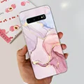 case-c06