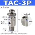 TAC-3P