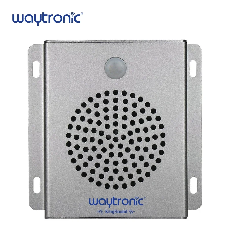 Reproductor de voz reemplazable con visualización de tiempo con detección de movimiento humano y reproducción de sincronización - imagen 2