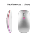 Backlit silver mouse