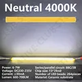 Neutral White 4000K