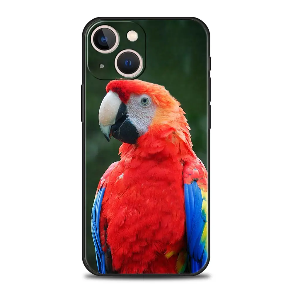 Funda de teléfono de lujo con diseño de pájaro loro para iPhone 16 13 15 14 12 11 Pro MAX XR X SE XS 7 8 Plus, funda suave de TPU a prueba de golpes - imagen 5
