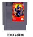 Ninja Gaiden series