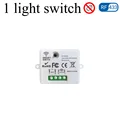 1 Light Switch only