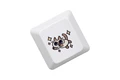 SCat L Keycap x1