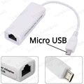 Micro USB Pulg