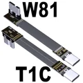 T1C-W81