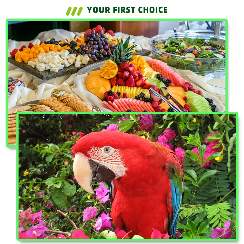 Derisa-Polvo de tóner Universal CRG067 crg067 CRG-067 CRG 067, Compatible con cartucho de tóner de impresora Canon - imagen 5